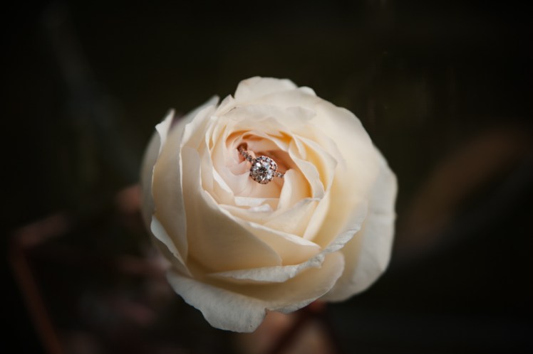 HOF Ballerina (9 of 44)